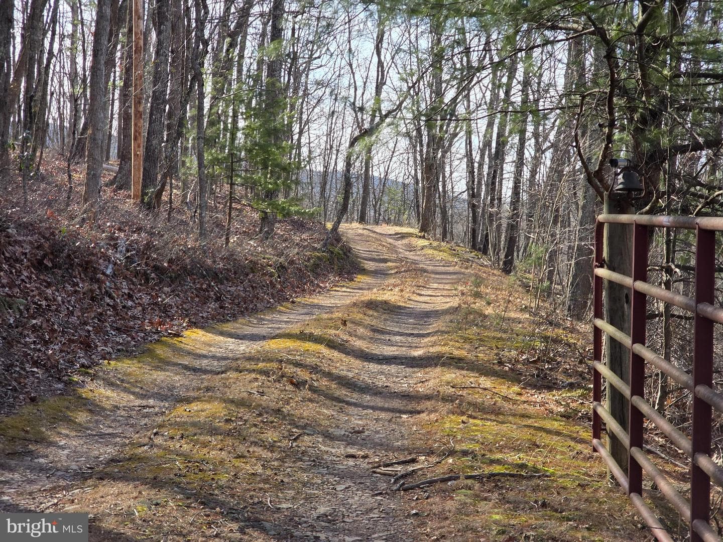 4605 Critton Owl Hollow Road photo 2