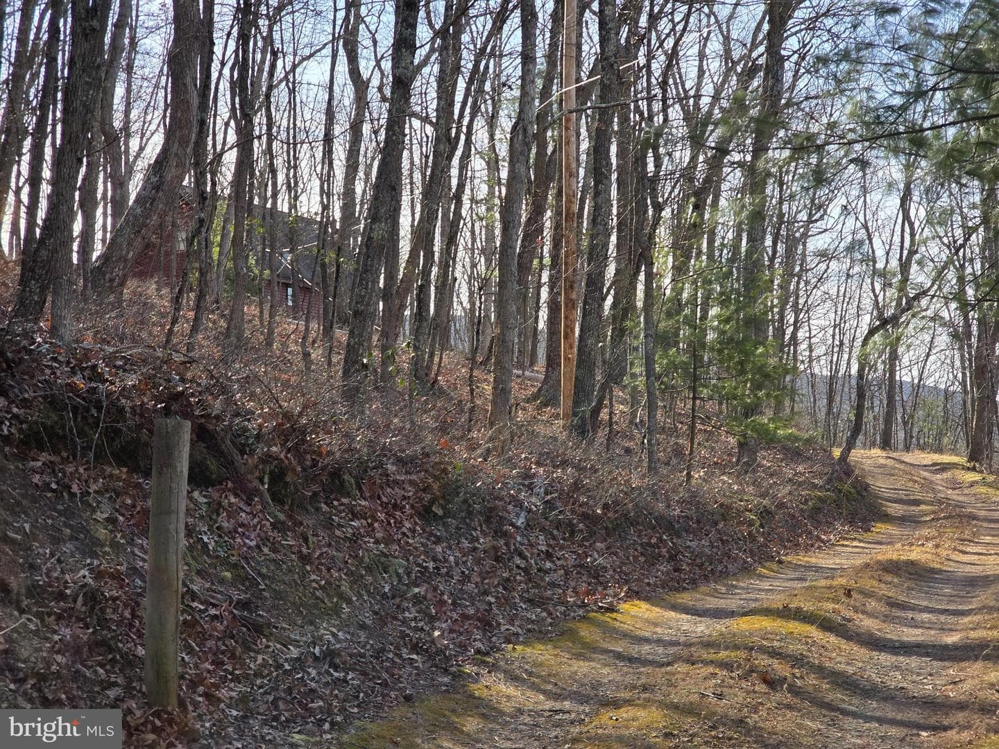 4605 Critton Owl Hollow Road photo 3