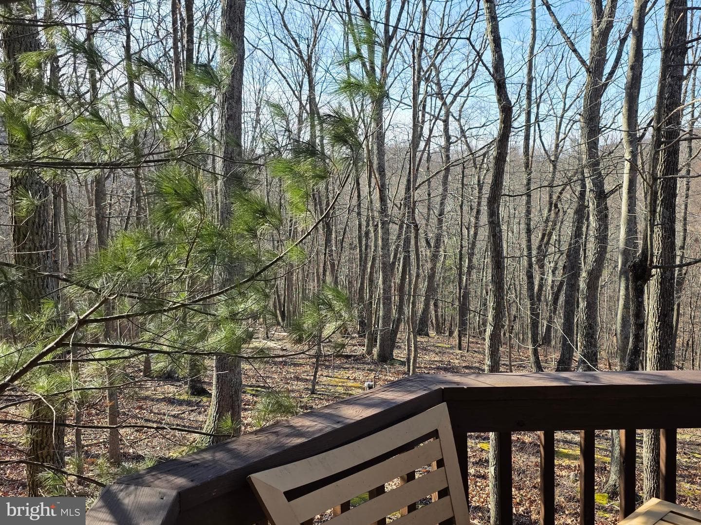 4605 Critton Owl Hollow Road photo 33