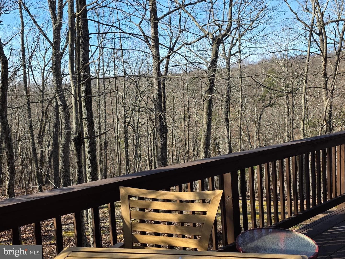 4605 Critton Owl Hollow Road photo 34