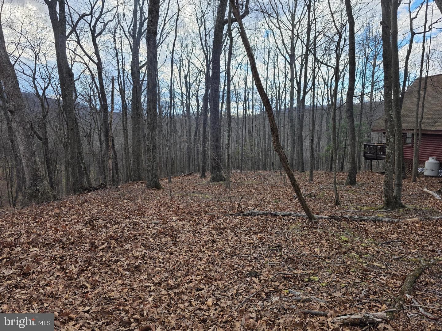 4605 Critton Owl Hollow Road photo 41