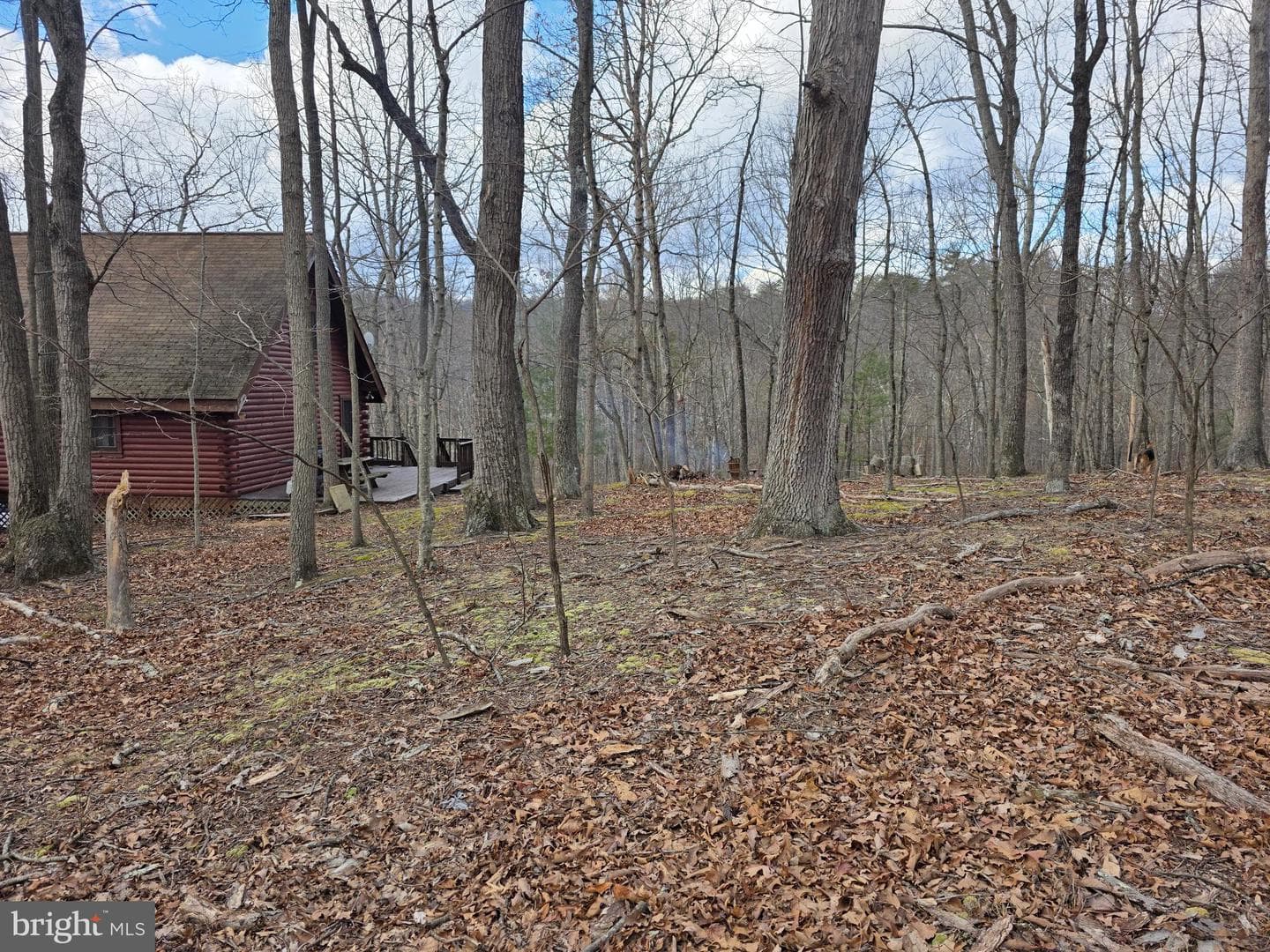 4605 Critton Owl Hollow Road photo 43