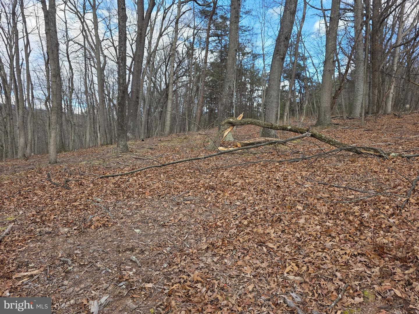 4605 Critton Owl Hollow Road photo 44