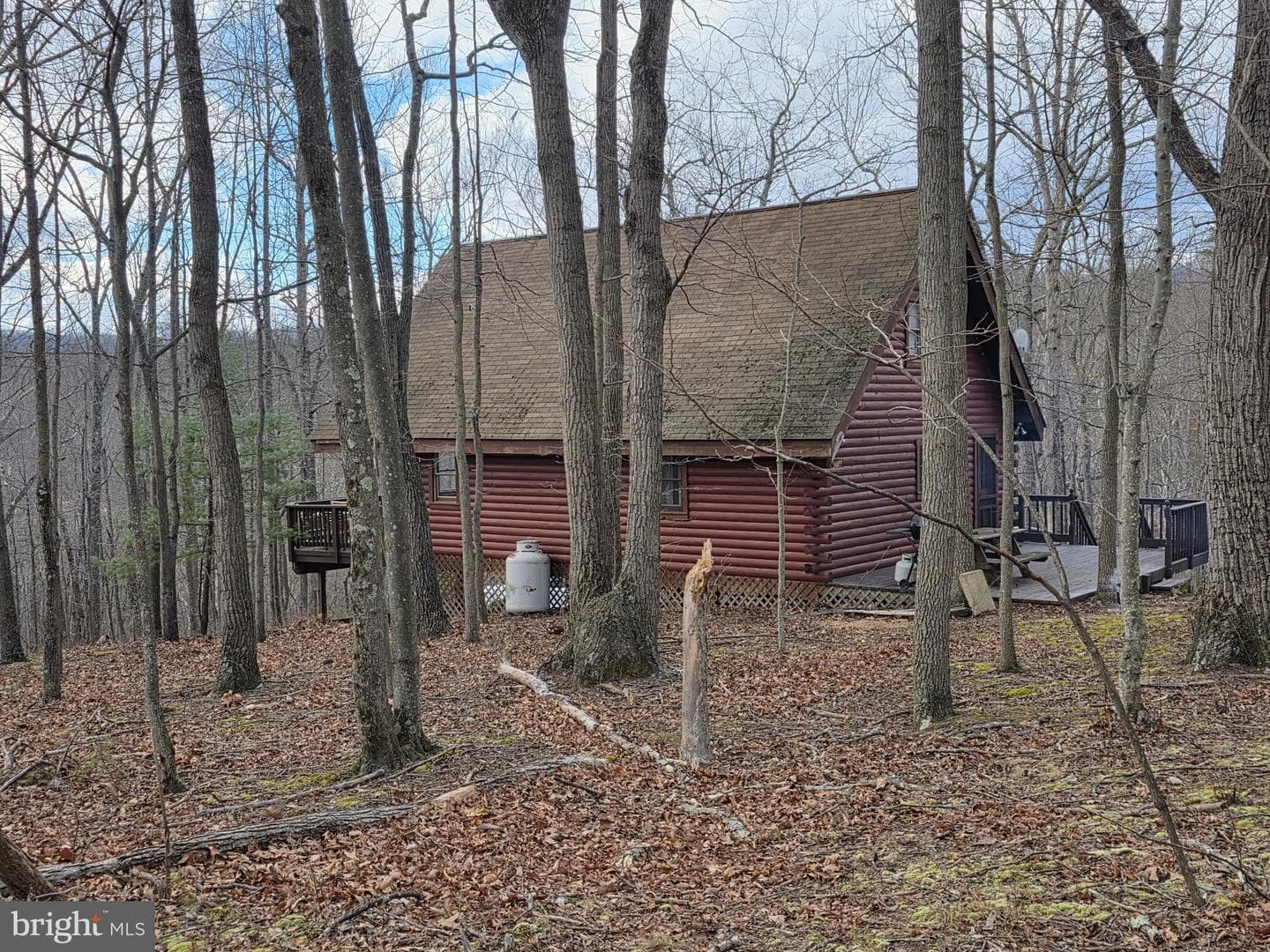 4605 Critton Owl Hollow Road photo 45
