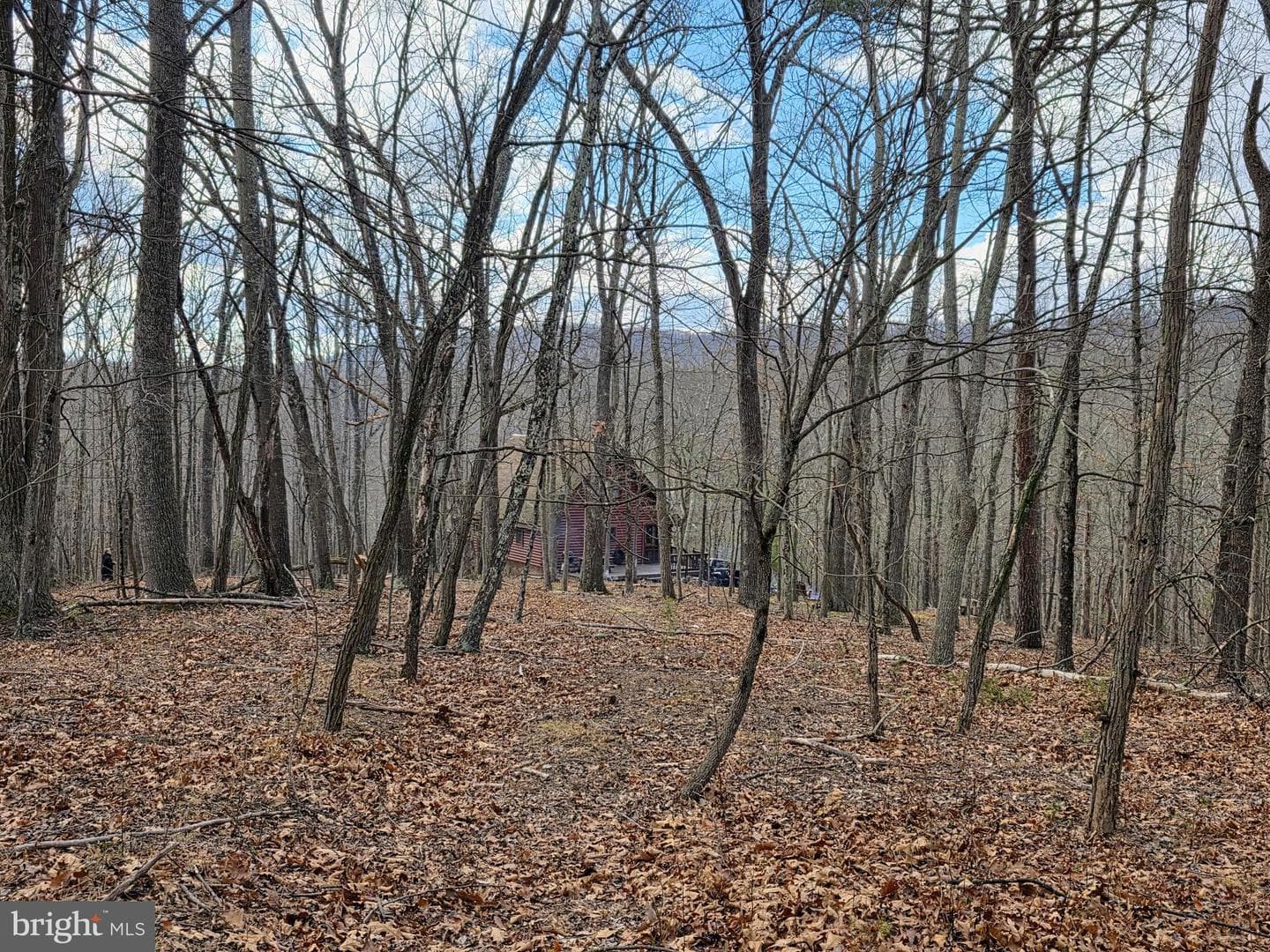 4605 Critton Owl Hollow Road photo 46