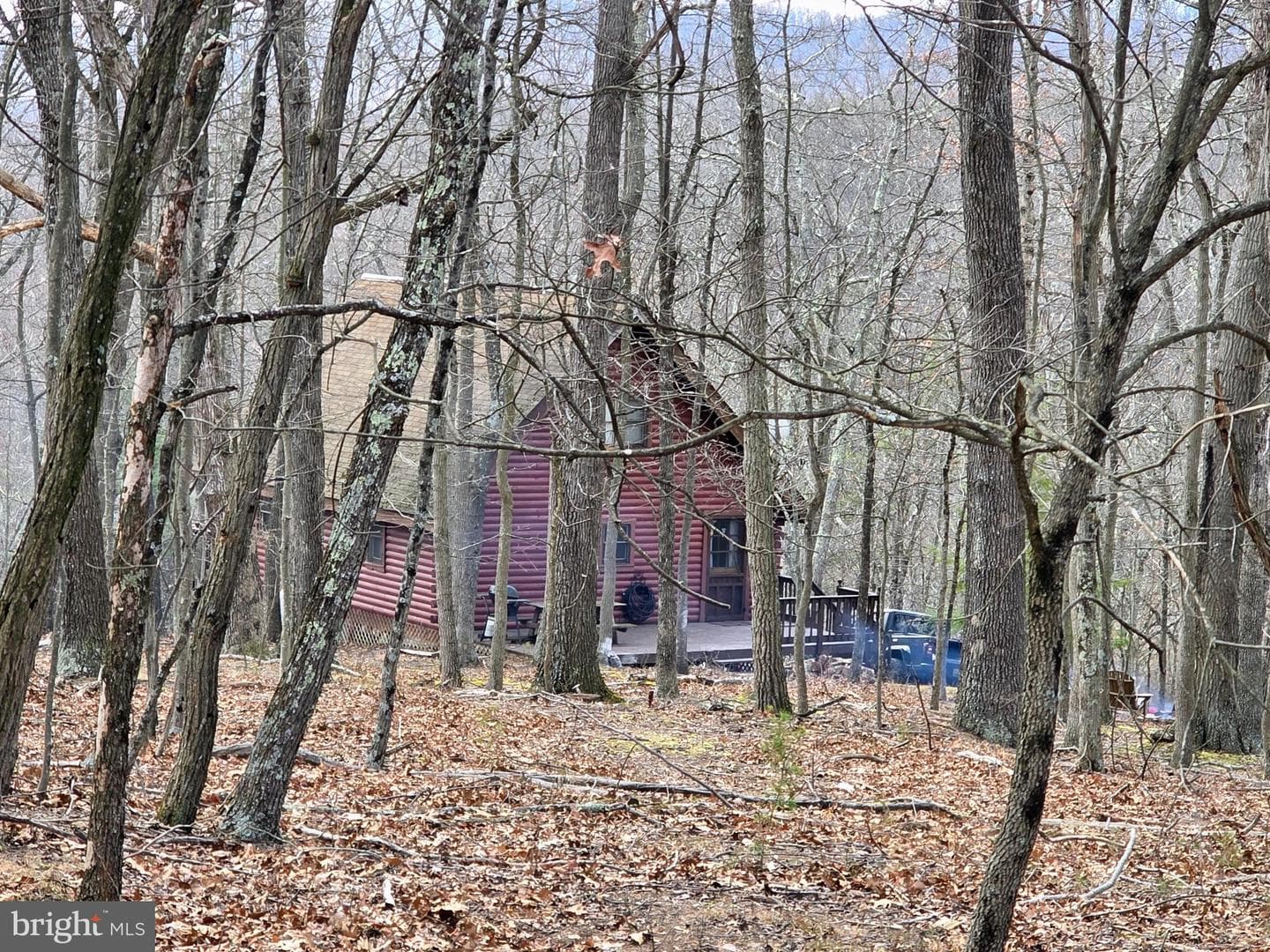 4605 Critton Owl Hollow Road photo 47