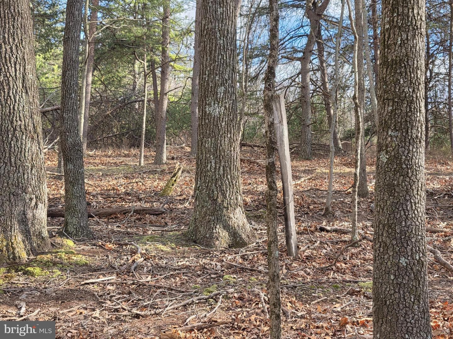 4605 Critton Owl Hollow Road photo 49