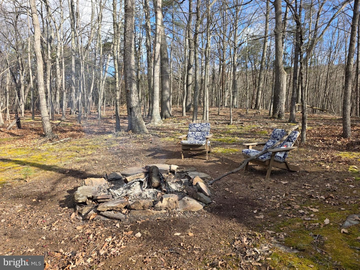 4605 Critton Owl Hollow Road photo 53