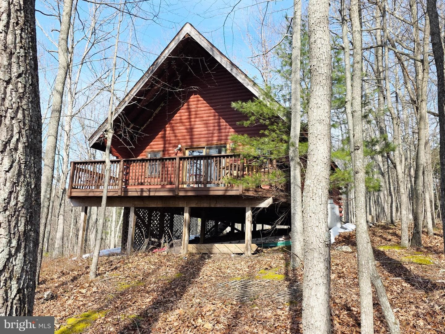 4605 Critton Owl Hollow Road photo 6