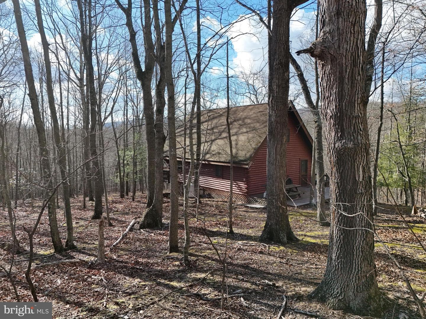 4605 Critton Owl Hollow Road photo 60