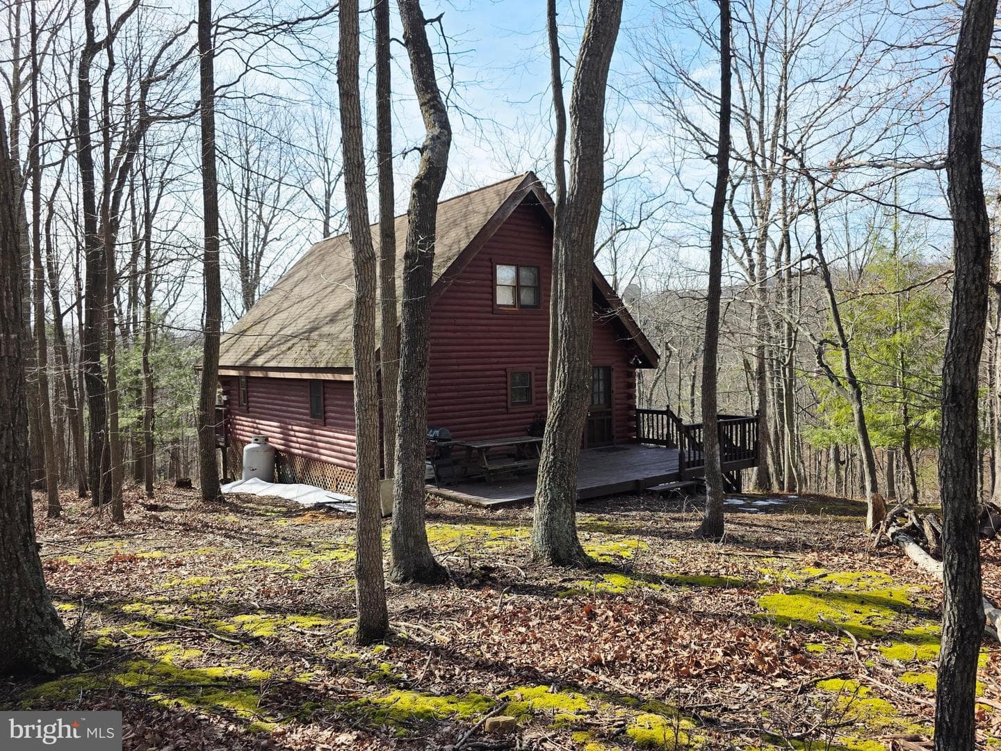 4605 Critton Owl Hollow Road photo 61