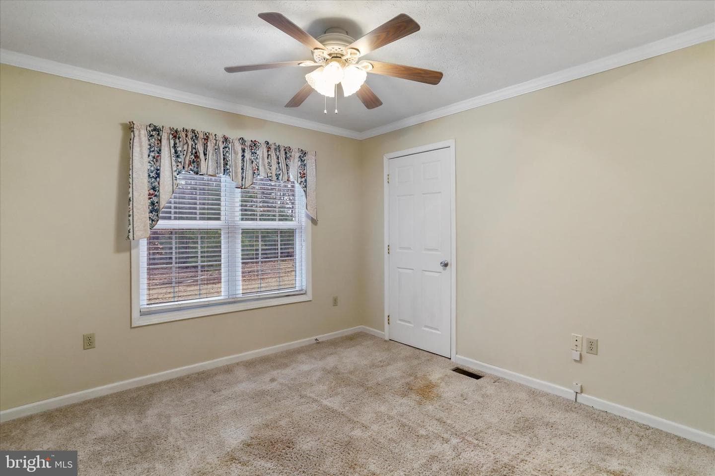 273 Hickory Lane photo 19