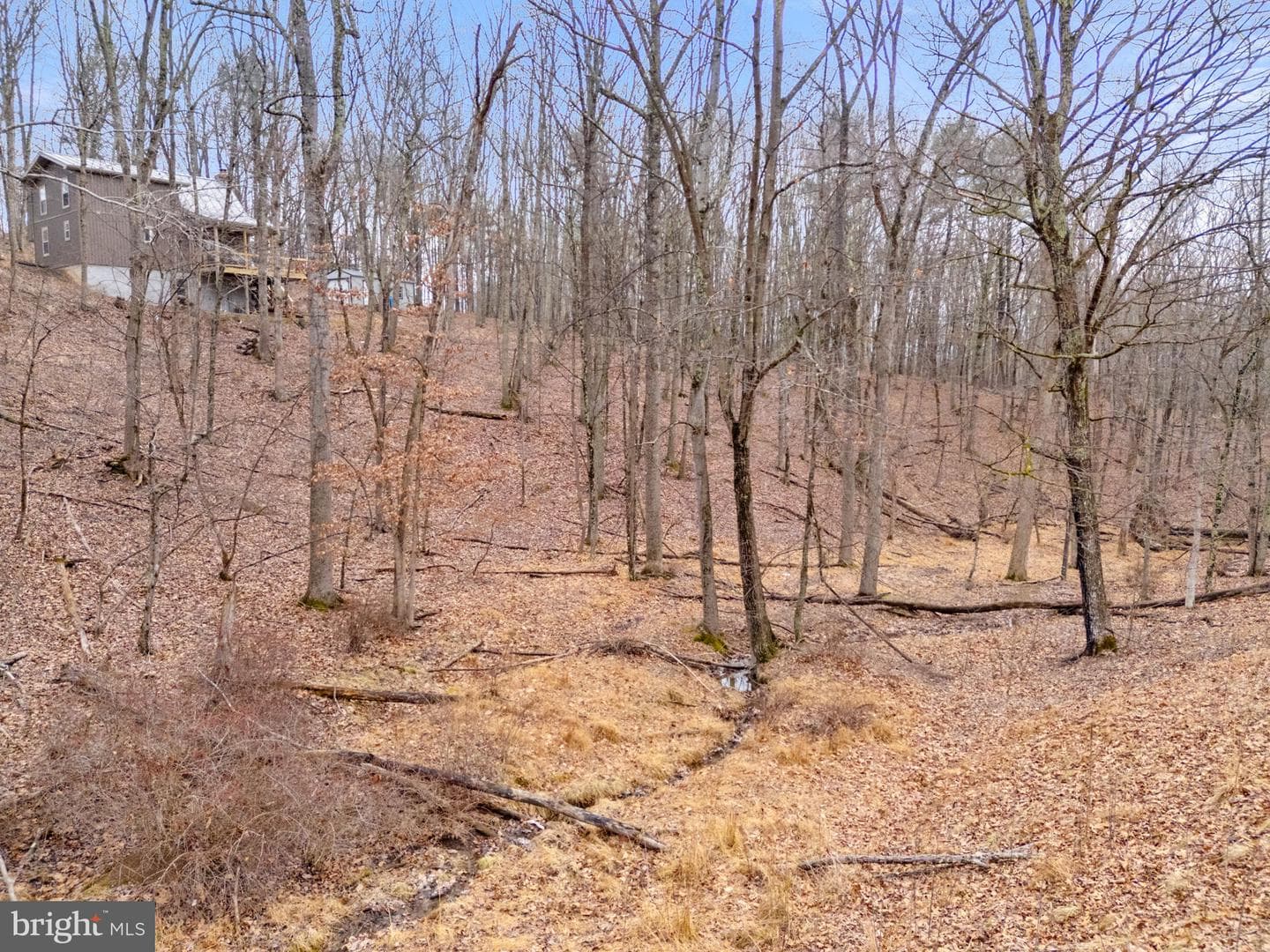 2368 Crossings View Road photo 98