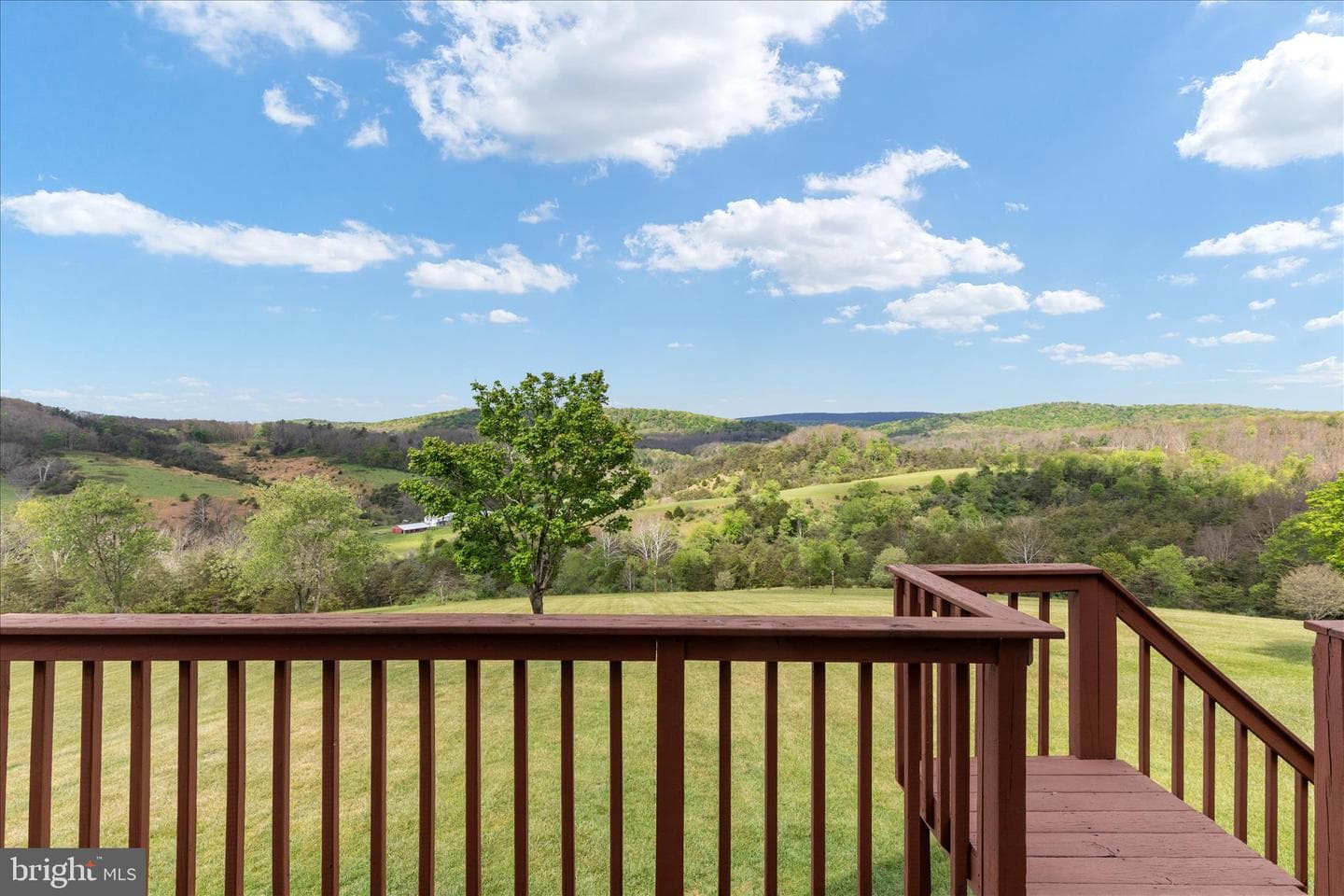 272 Buster Brown Dr. photo 63