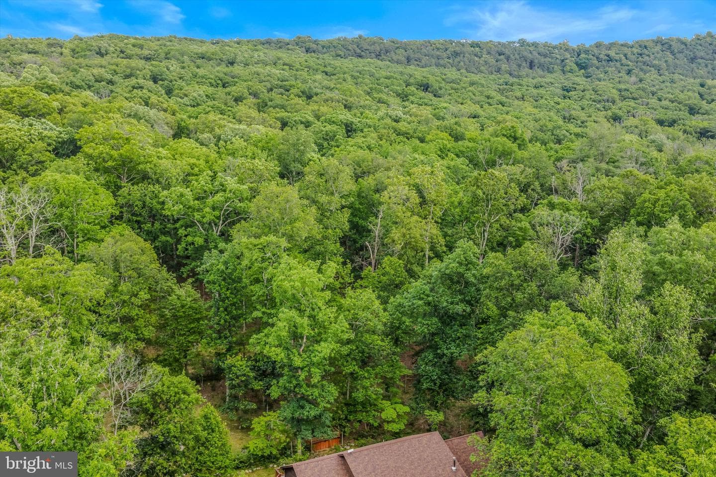 580 Braeburn Drive photo 45