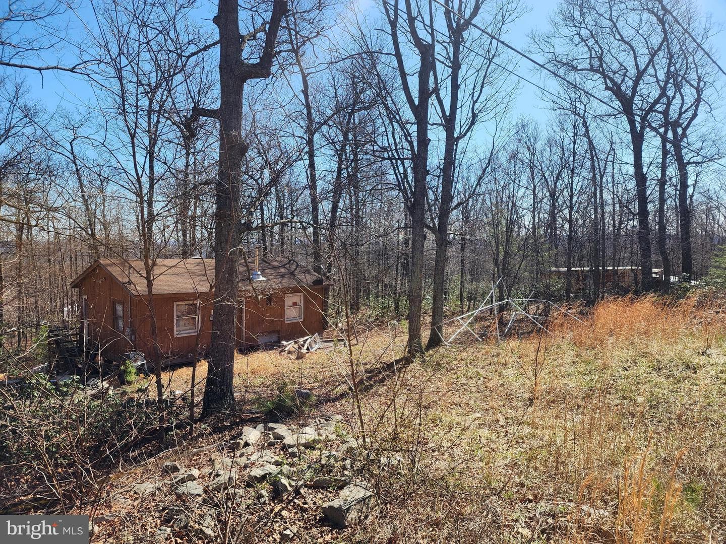 55 Kipps Drive photo 12
