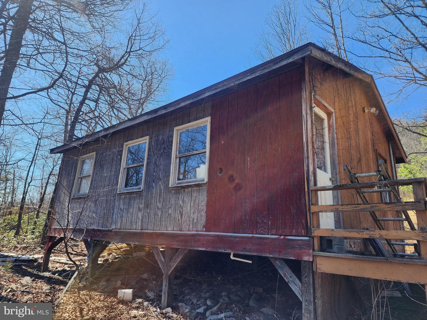55 Kipps Drive photo 17