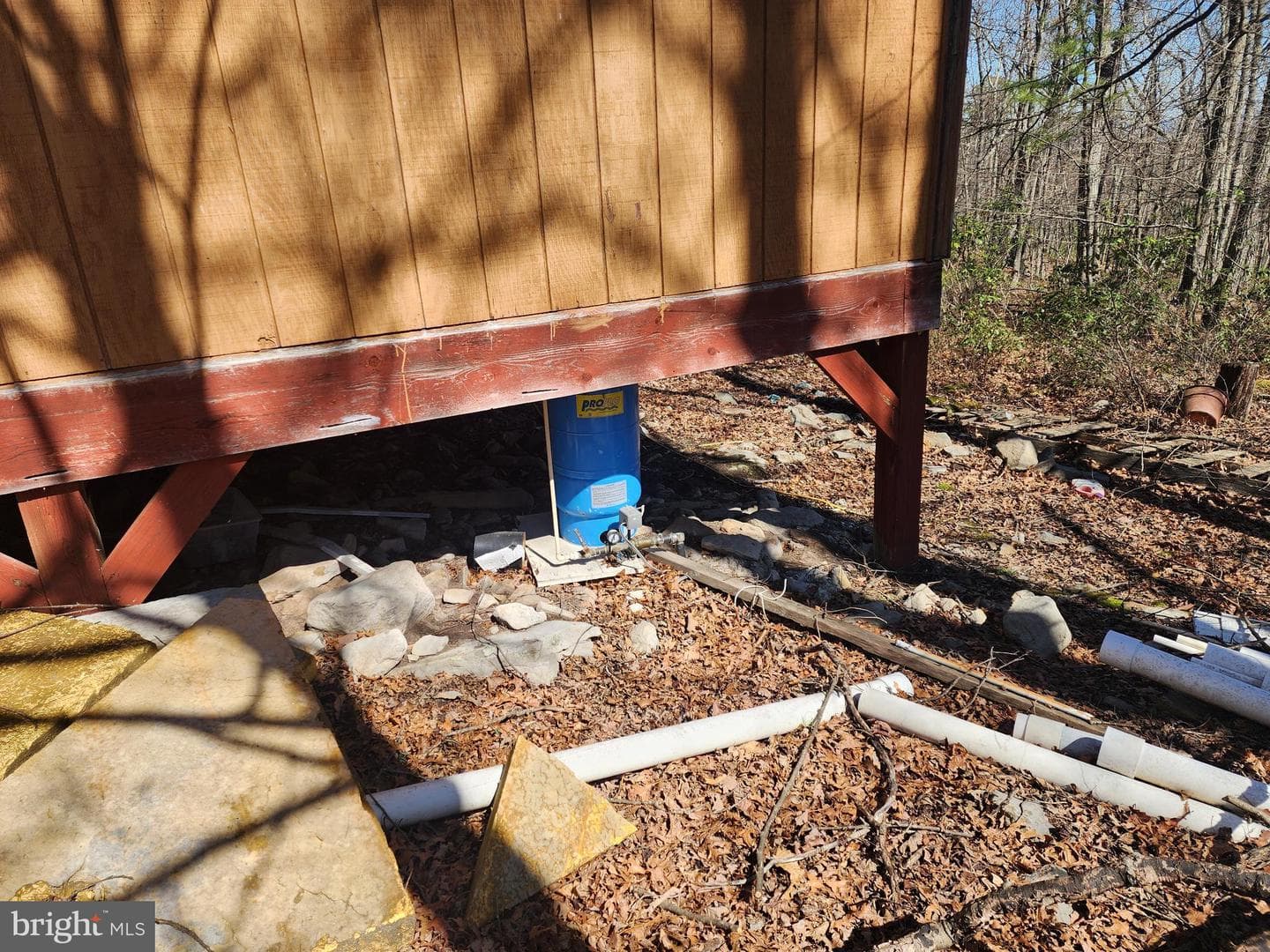 55 Kipps Drive photo 18