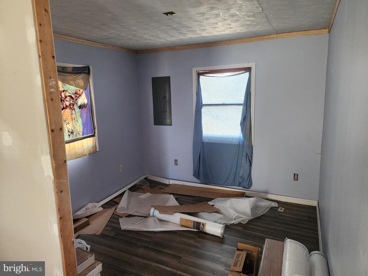 55 Kipps Drive photo 21