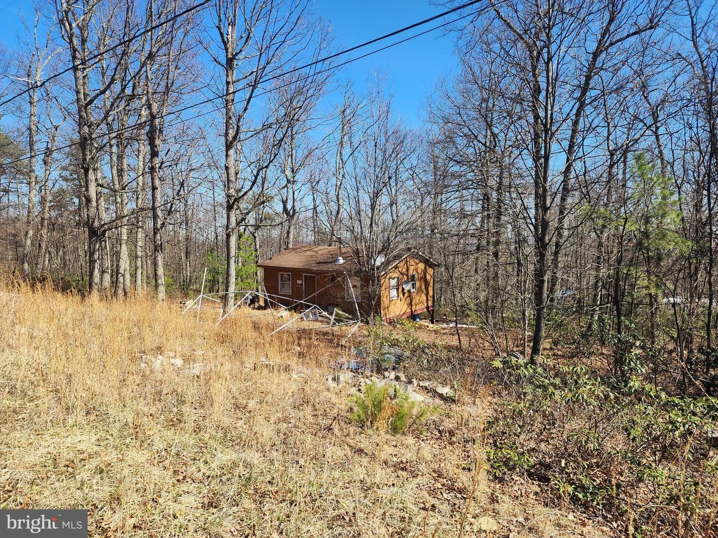 55 Kipps Drive photo 7