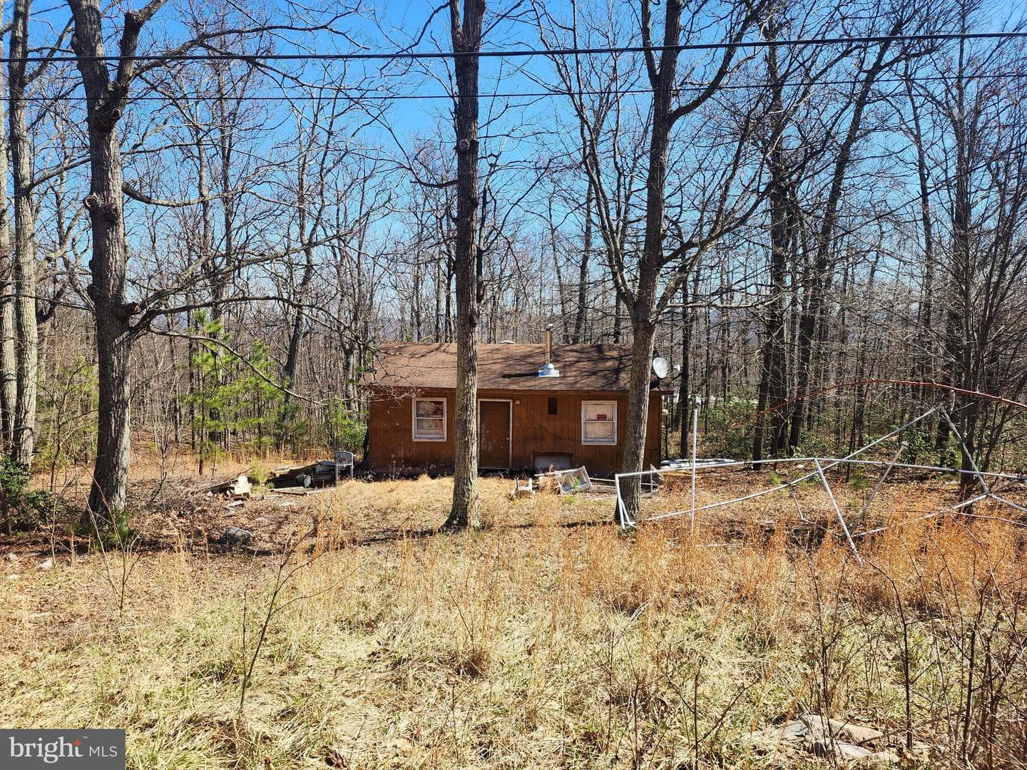 55 Kipps Drive photo 9