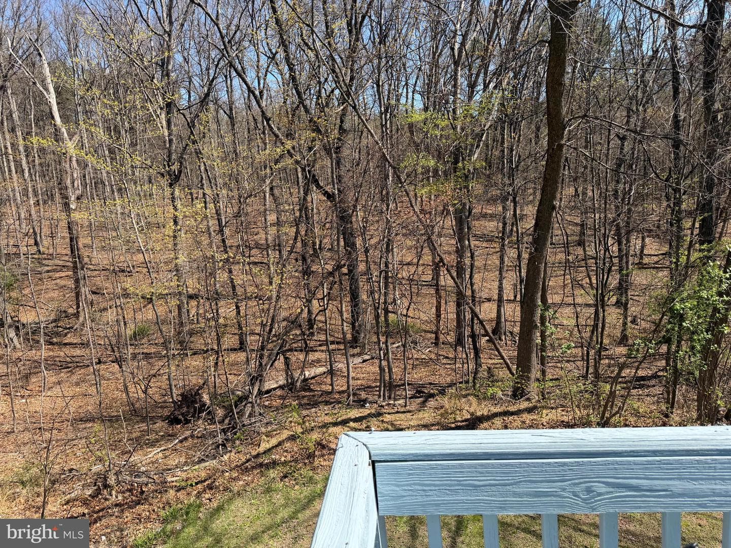 206 Mountain View Drive photo 22
