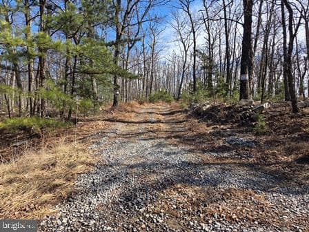 942 Wild Boar Road photo 10