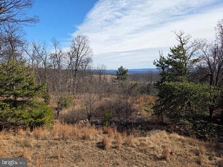 942 Wild Boar Road photo 3