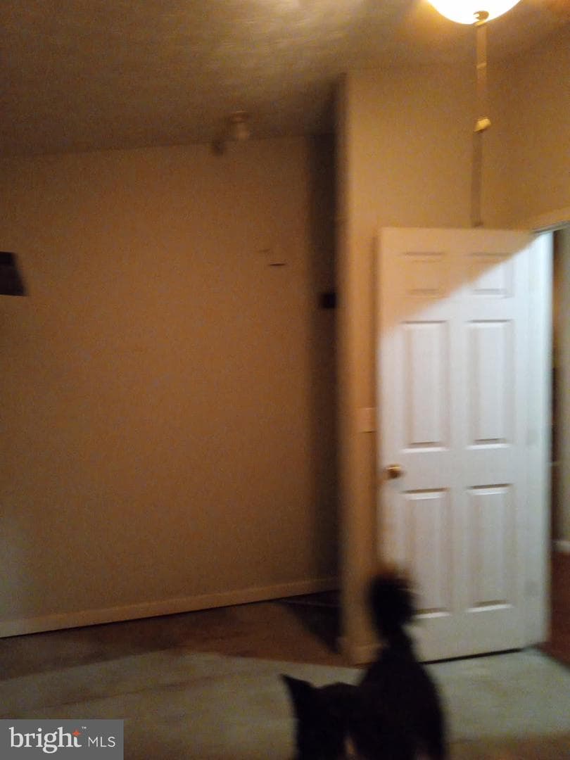 Wv photo 15