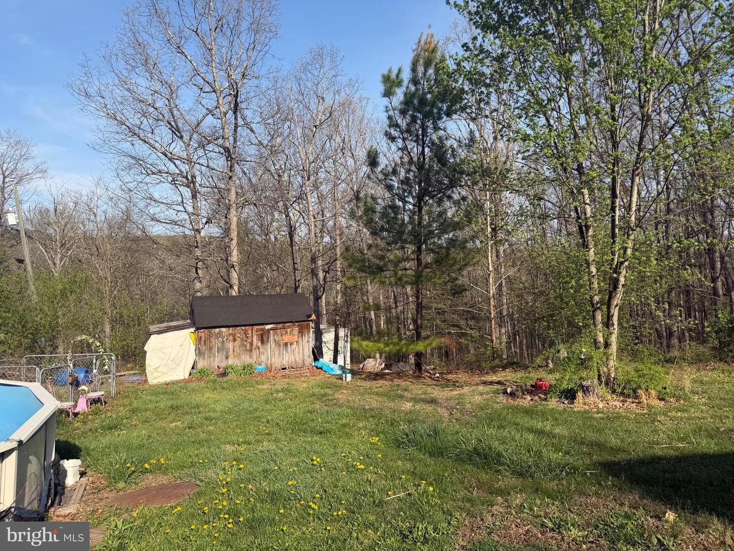 Wv photo 17