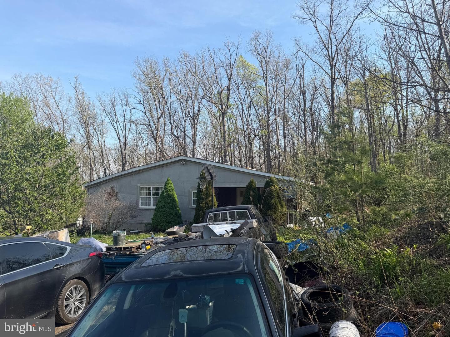 Wv photo 19