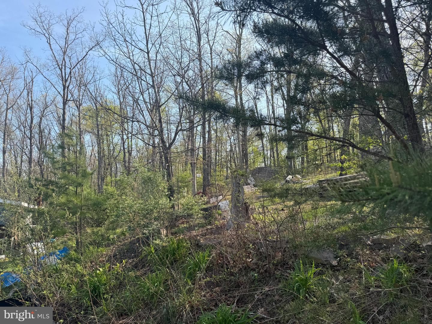 Wv photo 20