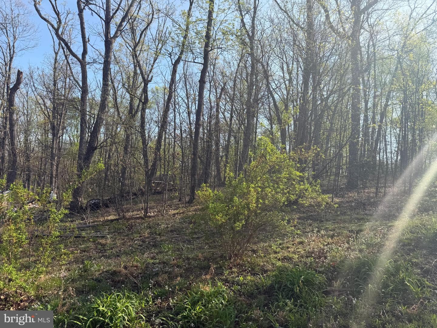 Wv photo 22