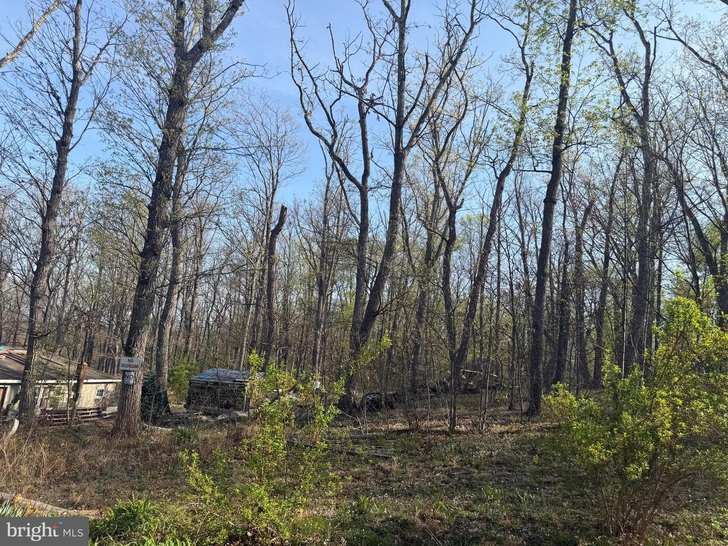 Wv photo 23