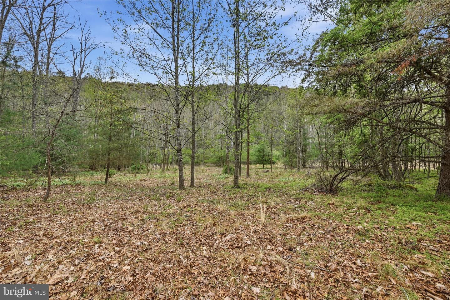 783 Ritters Valley Drive photo 54