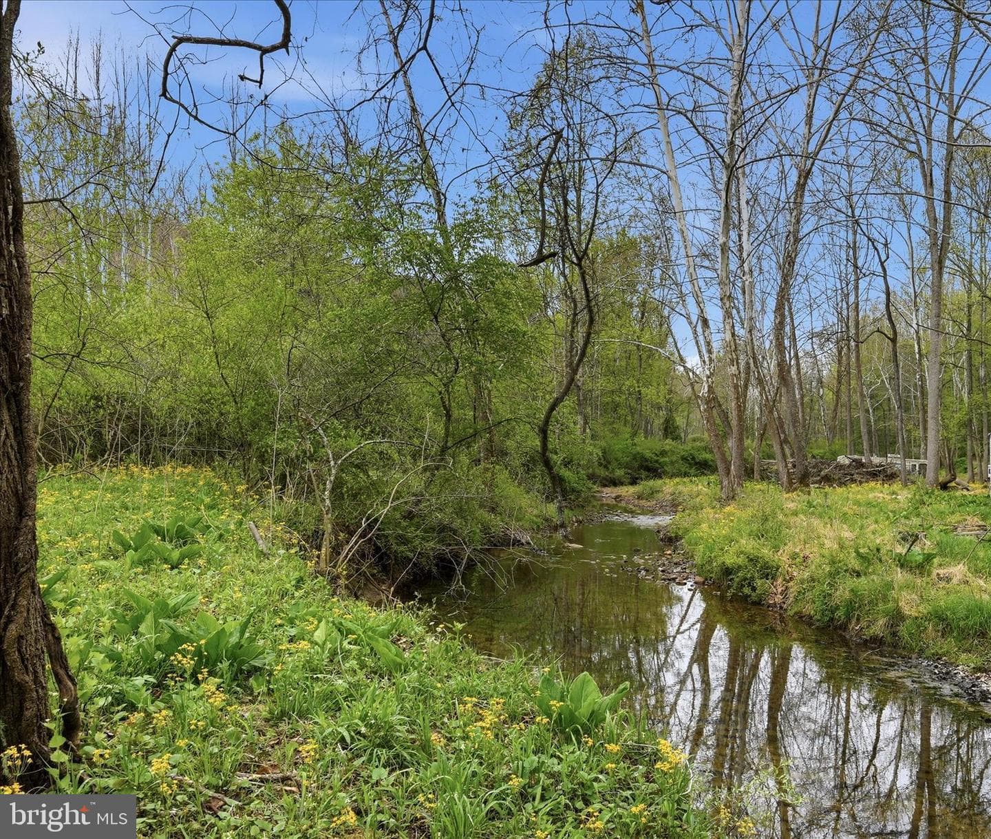 783 Ritters Valley Drive photo 6