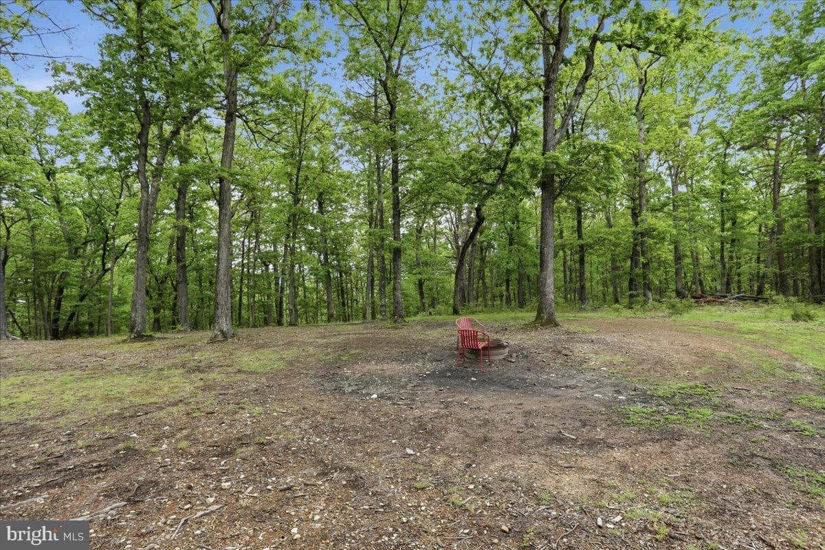 40.4 Ac Dave Moreland Rd photo 31