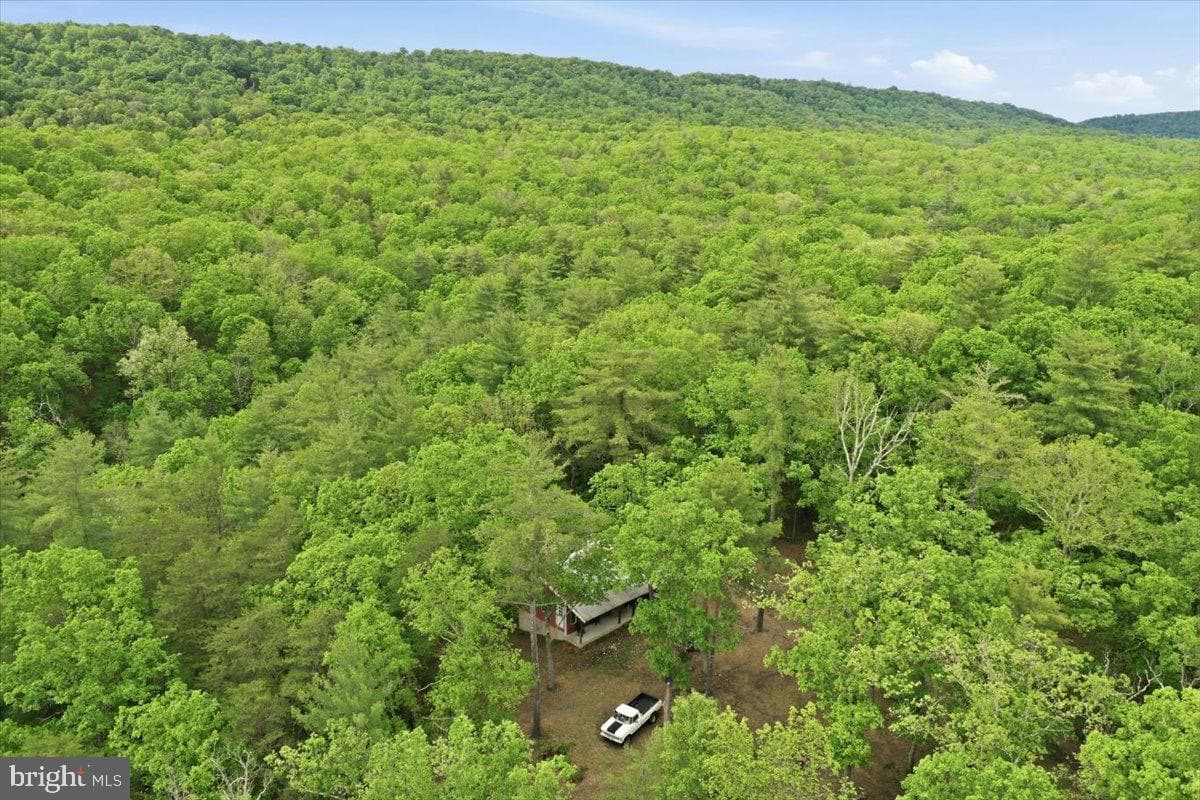 40.4 Ac Dave Moreland Rd photo 36