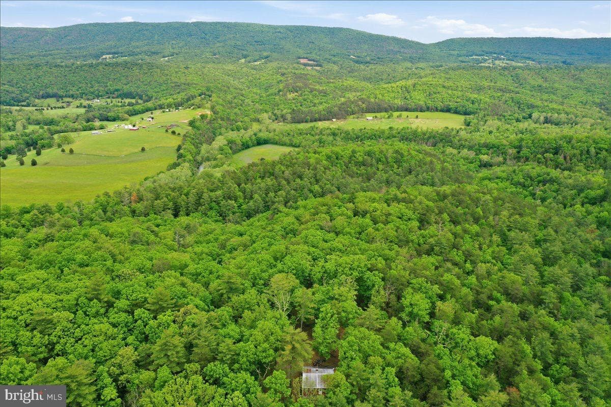 40.4 Ac Dave Moreland Rd photo 37