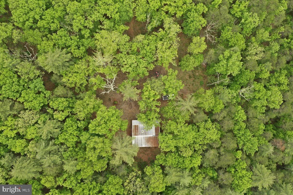 40.4 Ac Dave Moreland Rd photo 38