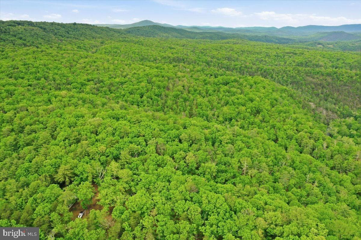 40.4 Ac Dave Moreland Rd photo 39