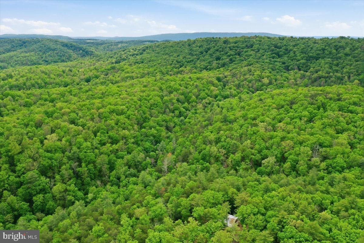 40.4 Ac Dave Moreland Rd photo 42