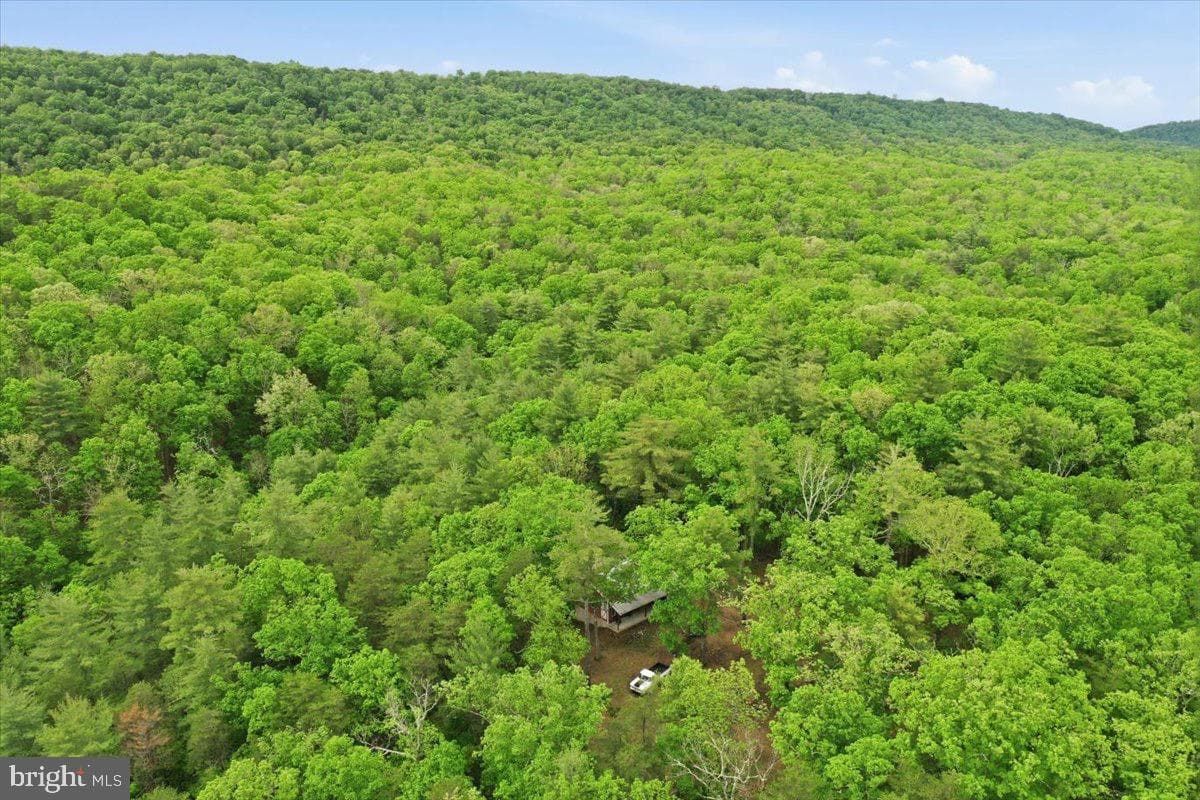 40.4 Ac Dave Moreland Rd photo 43