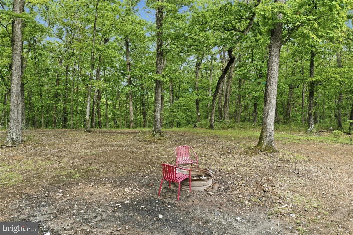 40.4 Ac Dave Moreland Rd photo 7