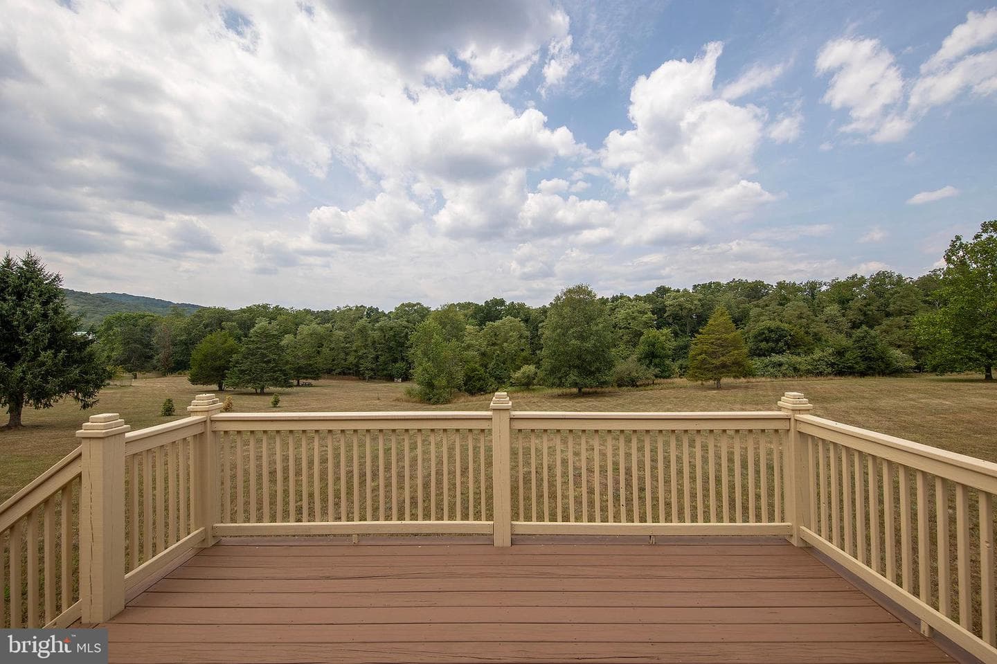 317 Strawberry Lane photo 49