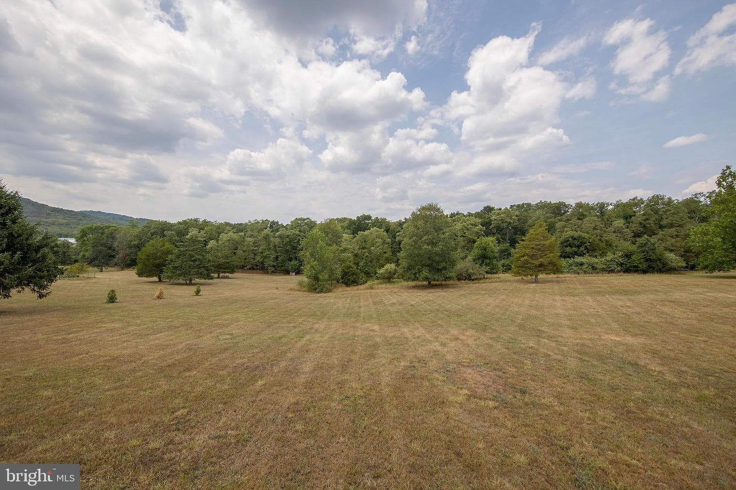 317 Strawberry Lane photo 53