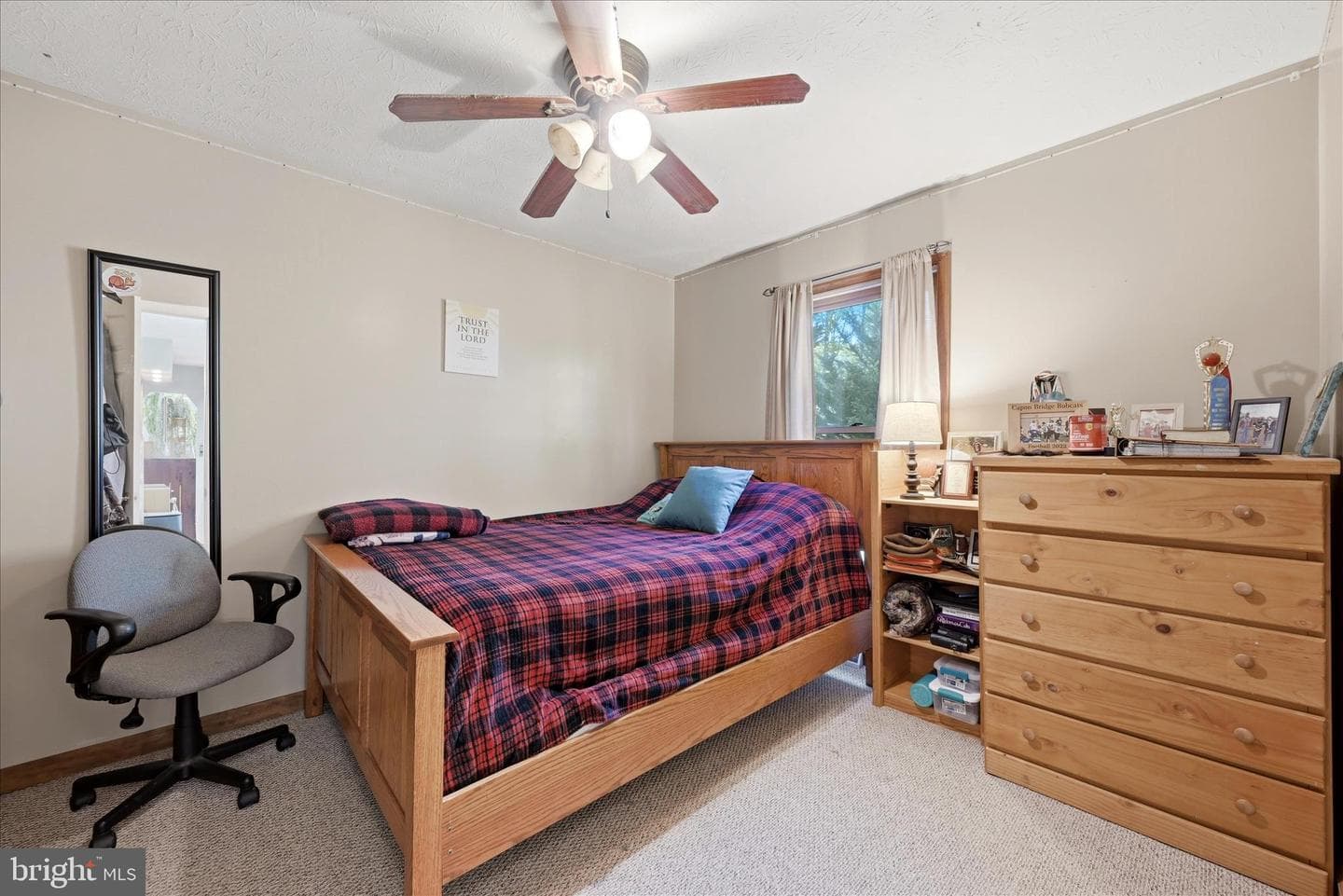 330 Sideling Mountain Drive photo 43