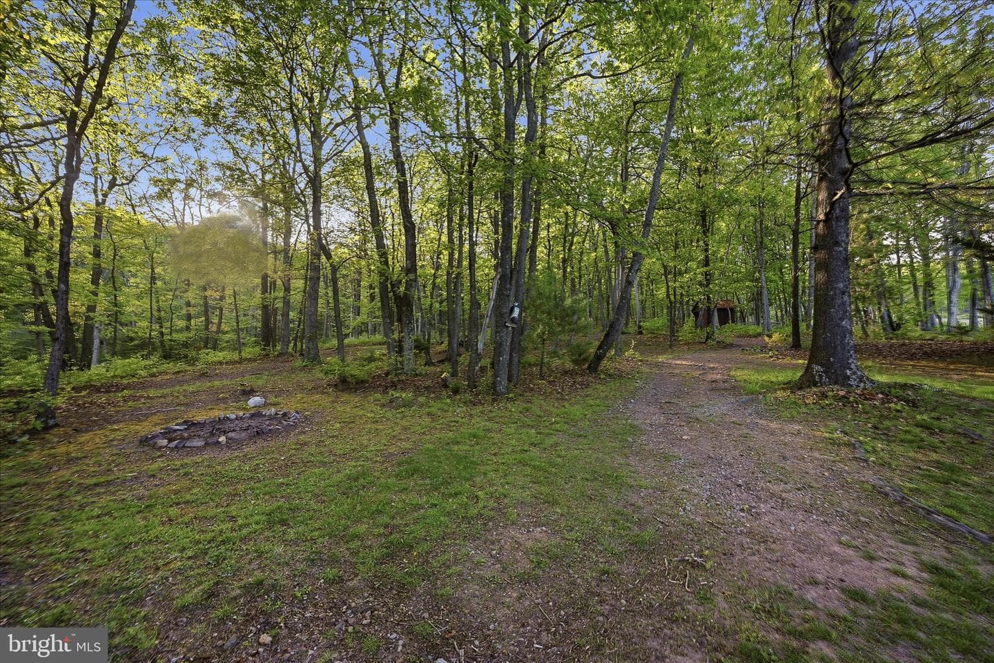 330 Sideling Mountain Drive photo 87