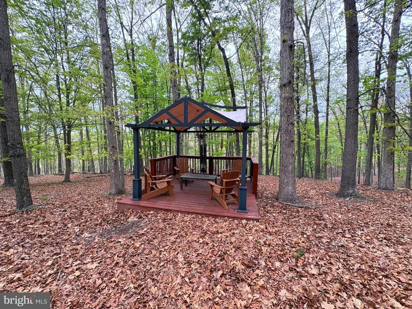 355 Hemlock Court photo 40