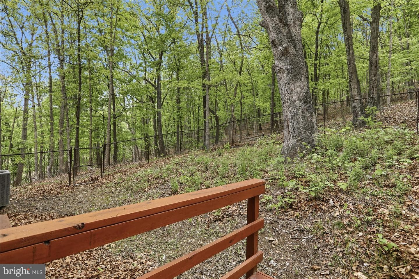 355 Hemlock Court photo 41